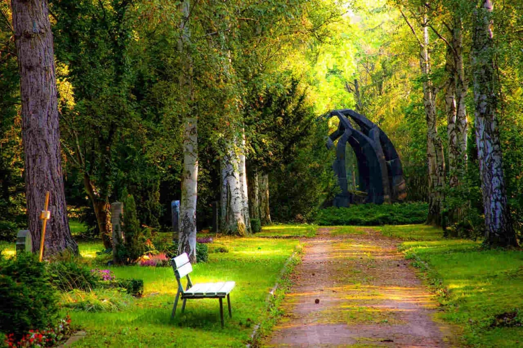 En fridfull parkscen med en solbelyst stig som kantas av höga träd, en vit bänk på grässidan och en mörk, abstrakt skulptur som syns i bakgrunden bland frodig grönska.